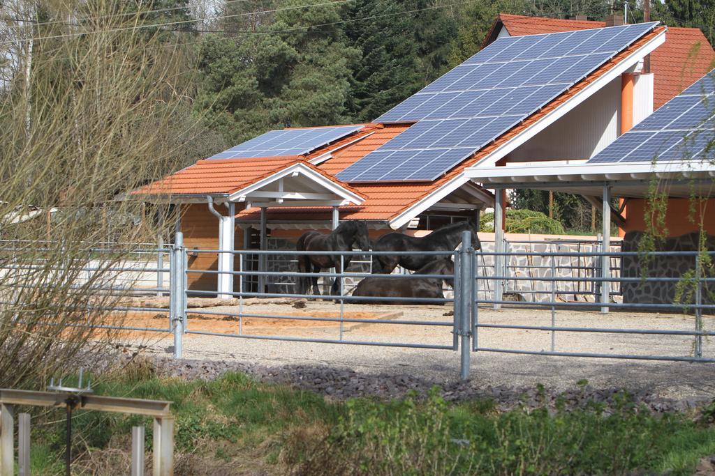 Saarlandtraum Weihermuehle Schmelz Ngoại thất bức ảnh